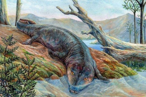 Перші земні тварини рухалися по суші з хвостом Перші земні тварини рухалися по суші з хвостом